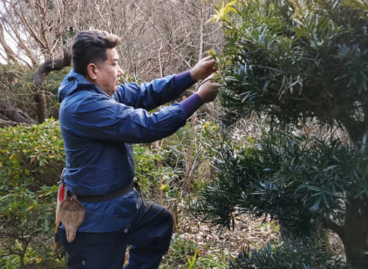 剪定・庭のお手入れ