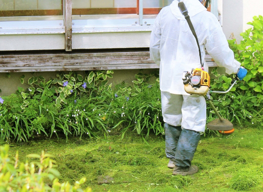 草刈り・草むしり