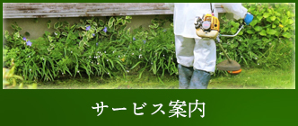 サービス案内