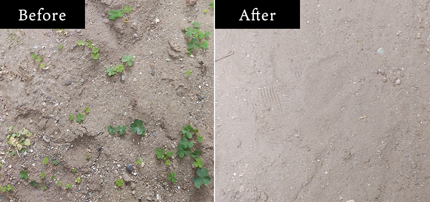 草刈り・草取り